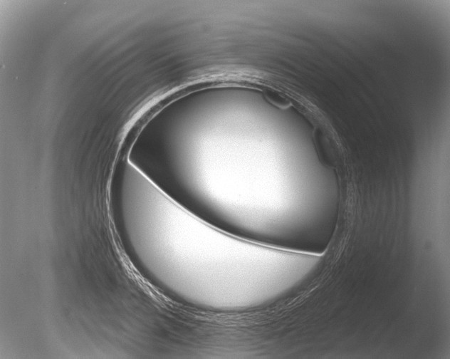X0000086300936200703300924