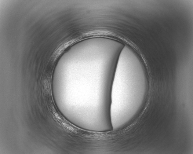 X0000086300937200703300924