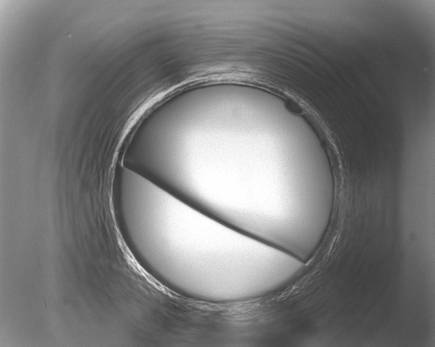 X0000086300941200703300925