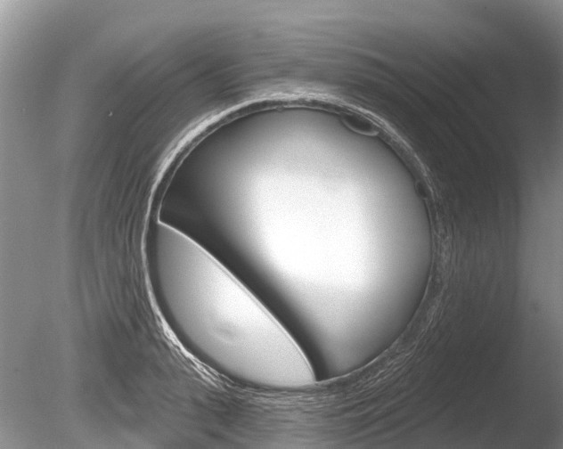 X0000086300943200703300925