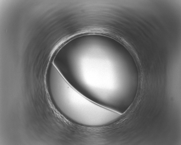 X0000086300944200703300925