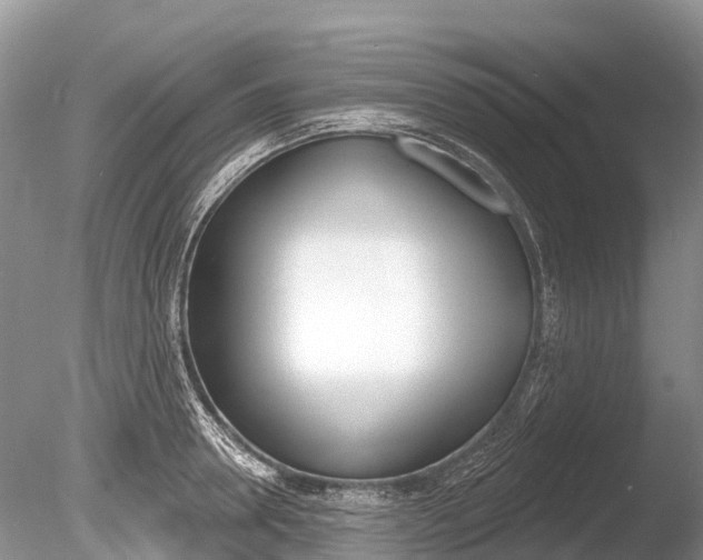 X0000086300946200703300925