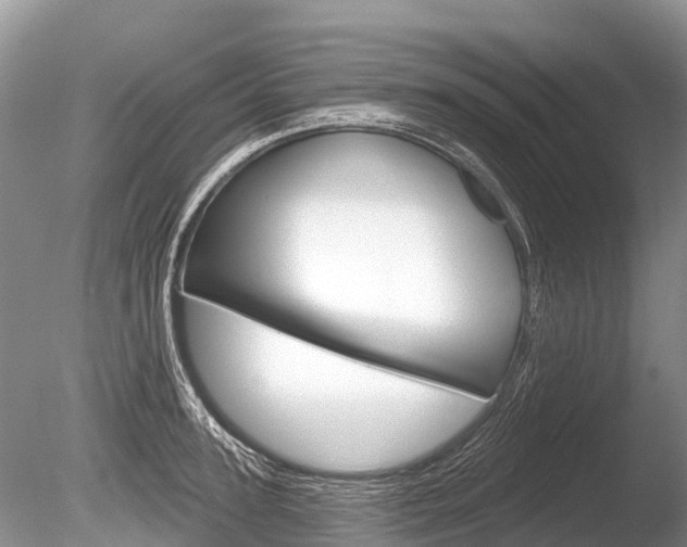 X0000086300947200703300925