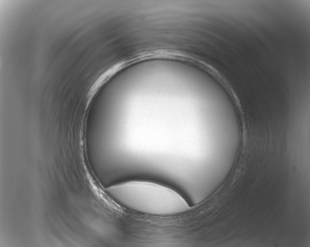 X0000086300954200703300925