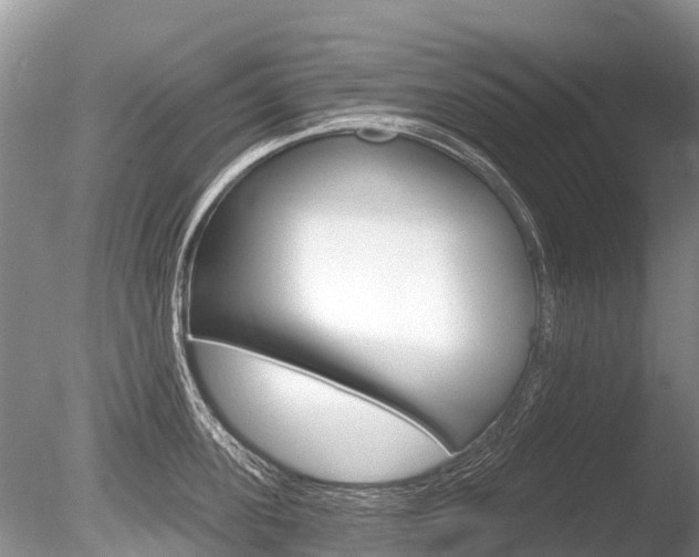 X0000086300955200703300925