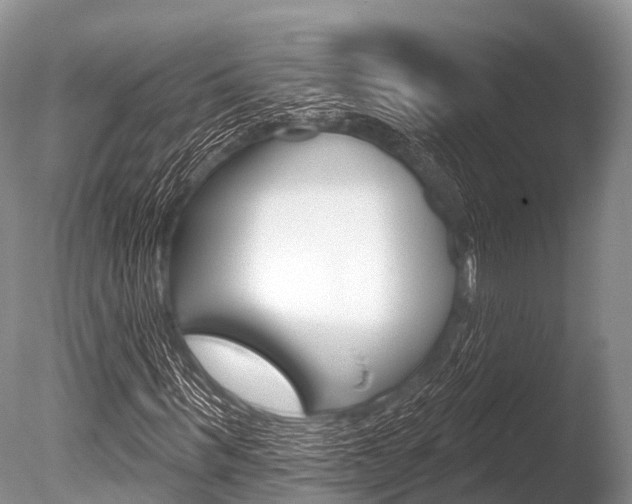 X0000086300963200703300924