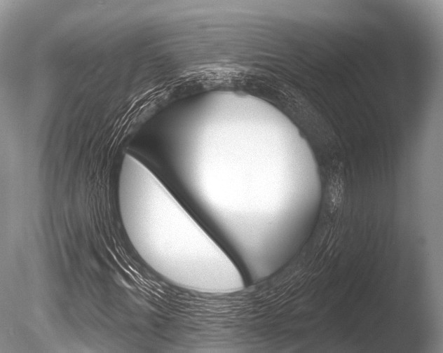 X0000086300964200703300924