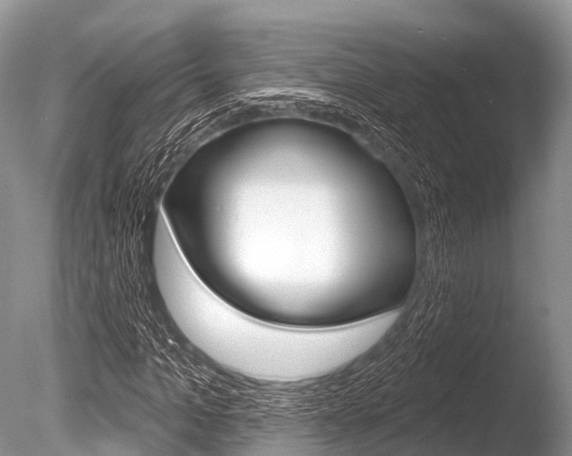X0000086300965200703300924