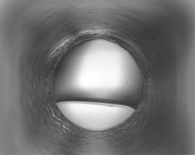 X0000086300967200703300924