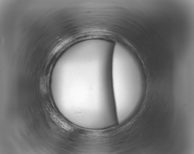 X0000086300970200703300924