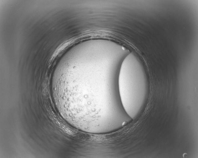 X0000086300978200703300924
