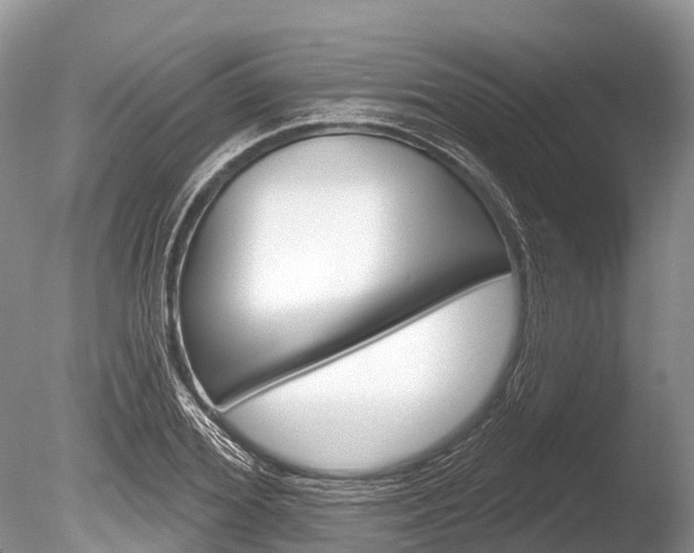 X0000086300980200703300924