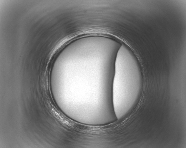 X0000086300982200703300924