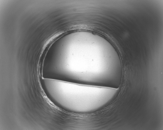 X0000086300987200703300924