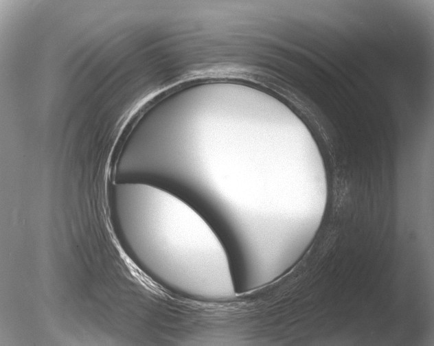 X0000086300988200703300924