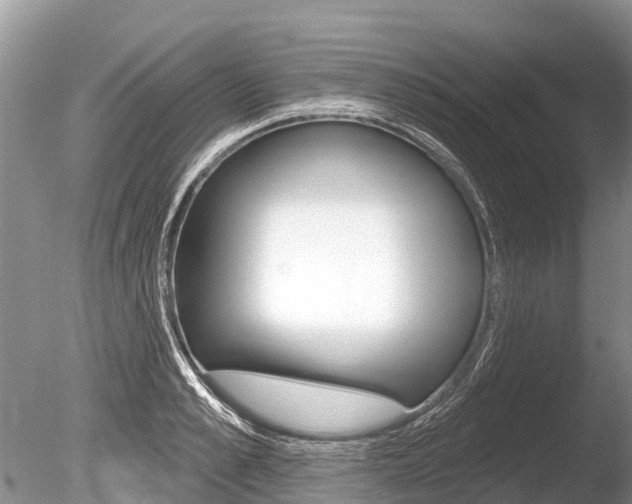 X0000086300989200703300924