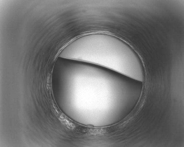 X0000086301001200703300923