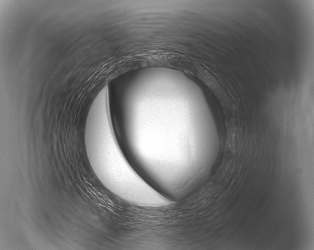X0000086301010200703300922