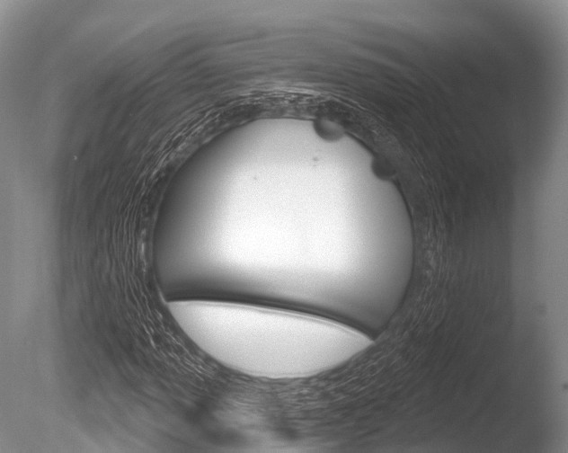 X0000086301013200703300922
