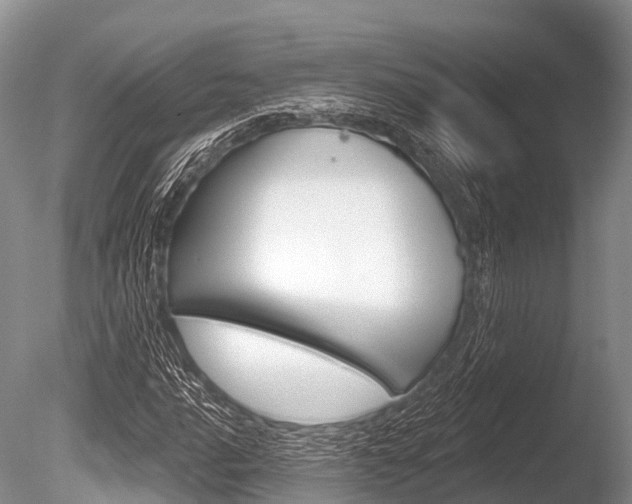 X0000086301016200703300923