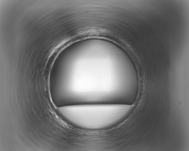 X0000086301018200703300923