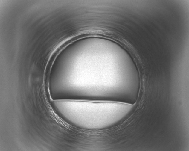 X0000086301020200703300923