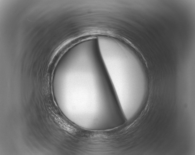 X0000086301021200703300923