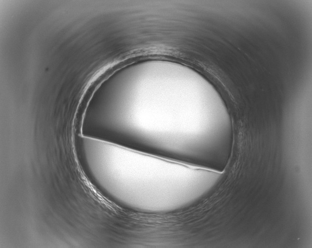 X0000086301024200703300923
