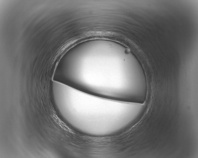 X0000086301025200703300923