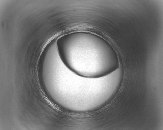 X0000086301026200703300923