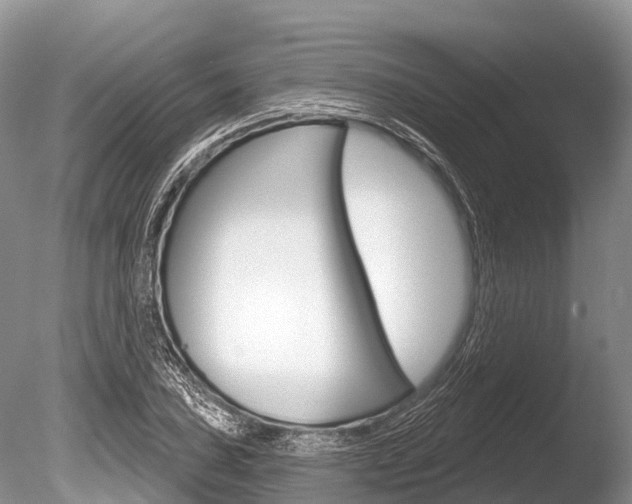 X0000086301027200703300923