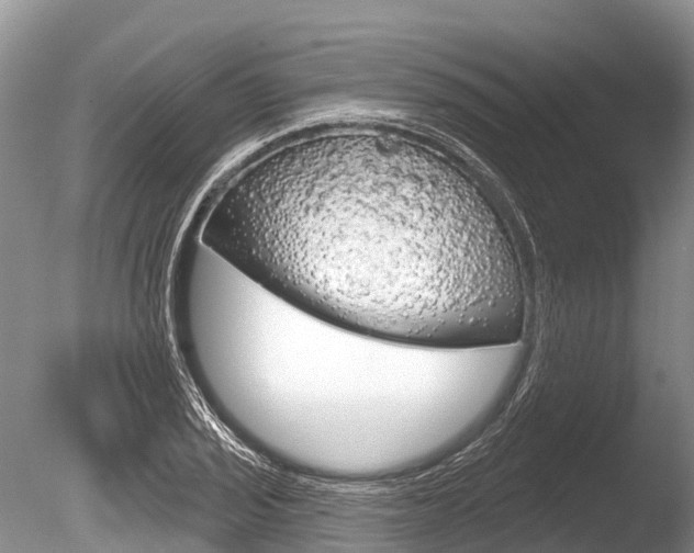X0000086301029200703300923