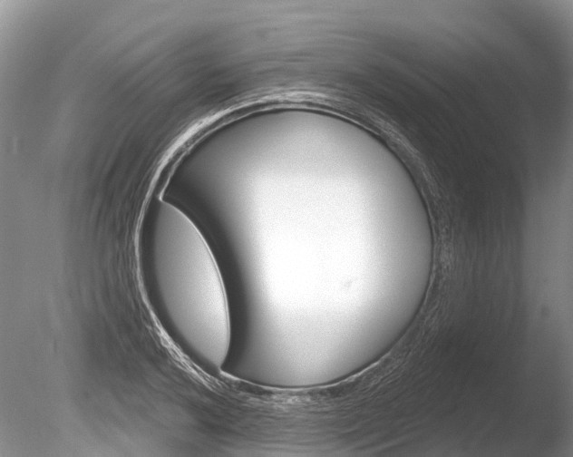 X0000086301032200703300923