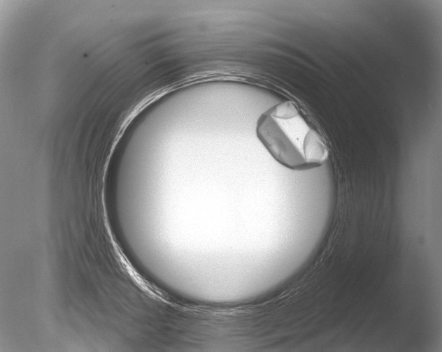 X0000086301034200703300923