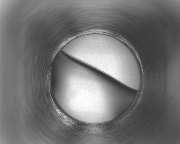 X0000086301049200703300923