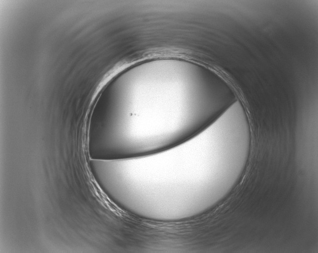 X0000086301052200703300923