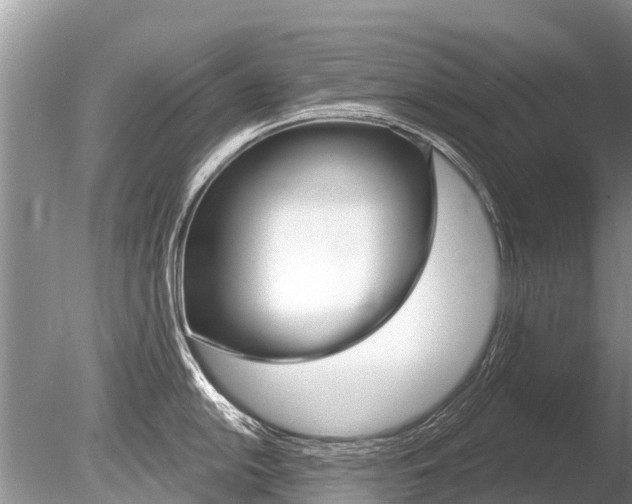 X0000086301054200703300923