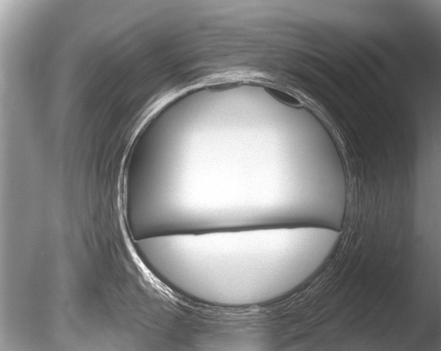 X0000086301055200703300923