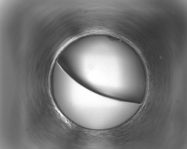 X0000086301056200703300923