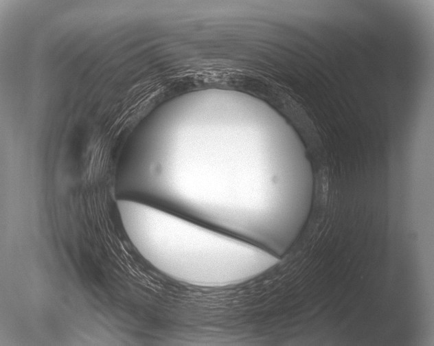 X0000086301060200703300922