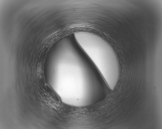 X0000086301062200703300922