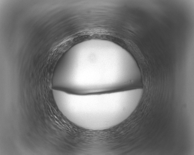 X0000086301063200703300922