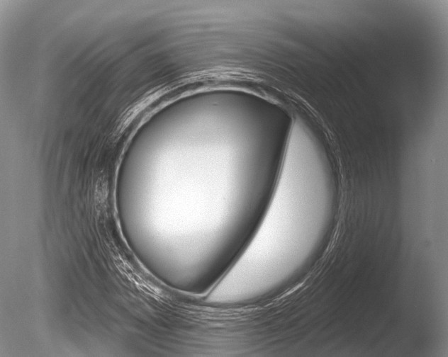 X0000086301065200703300922