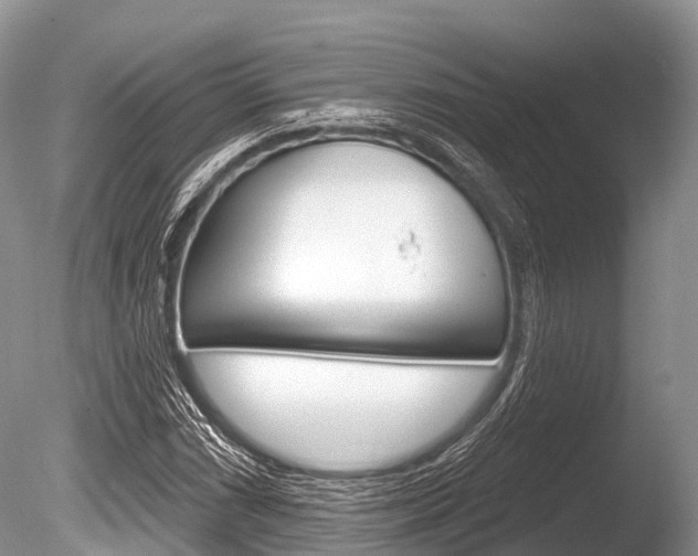 X0000086301066200703300922