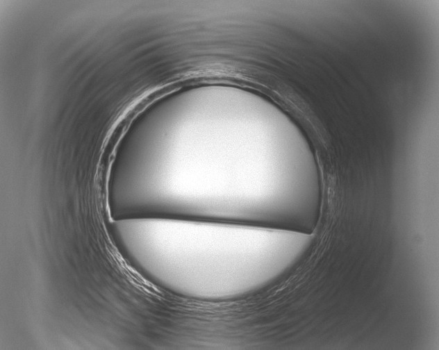 X0000086301068200703300922
