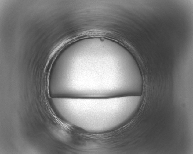 X0000086301075200703300922
