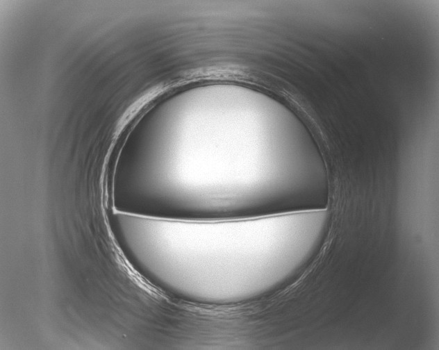 X0000086301082200703300922