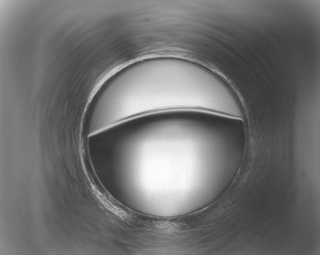 X0000086301085200703300922