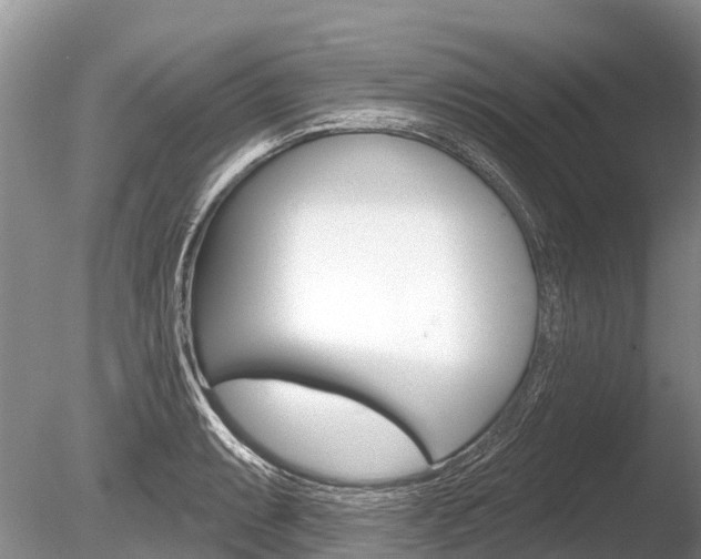 X0000086301087200703300922