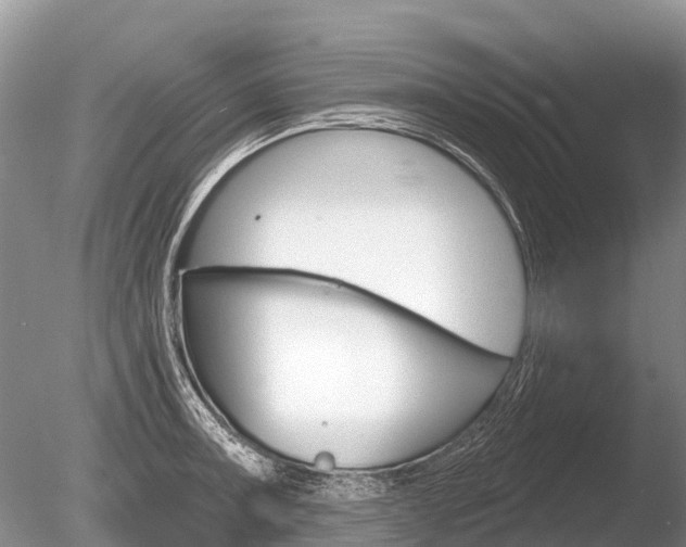X0000086301091200703300922